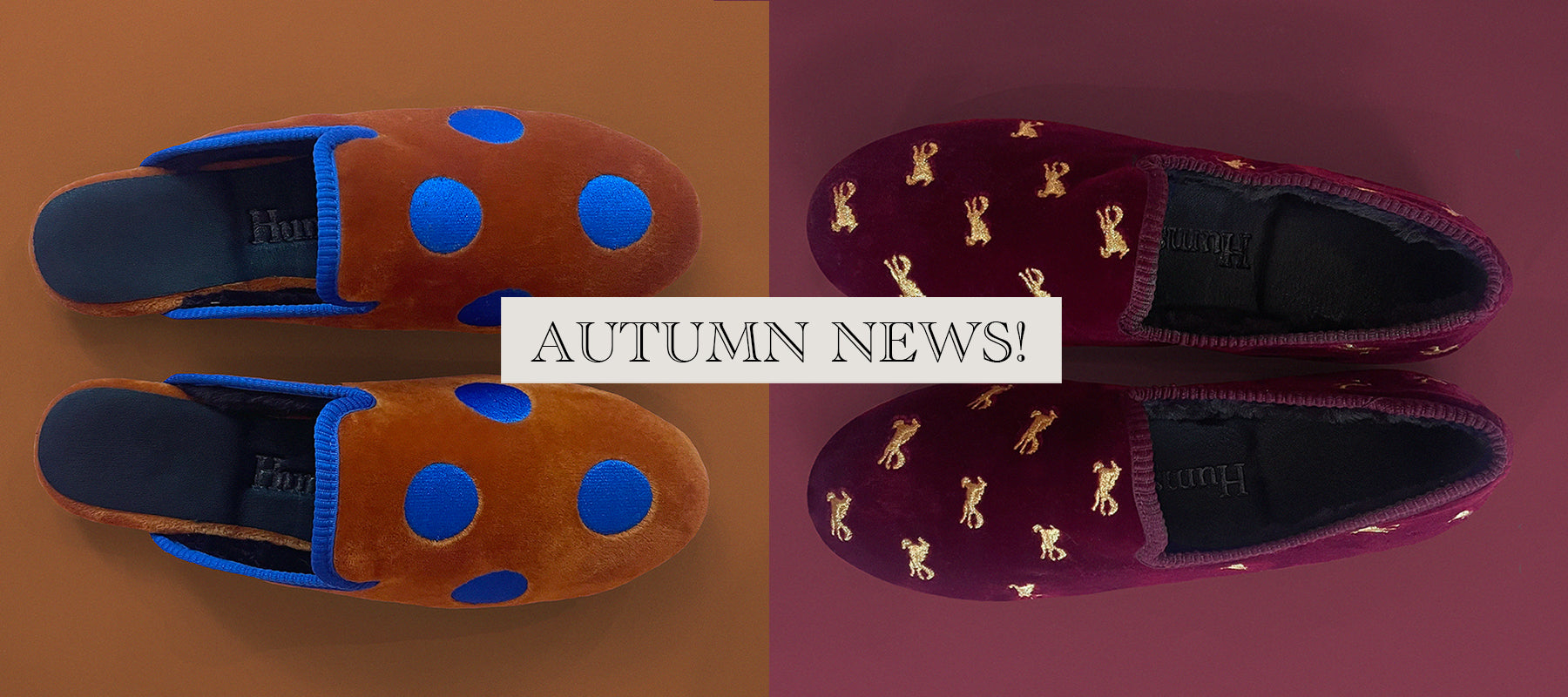 FÖRETAGSPAKET 7500 KR - Hums Complete Collection